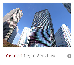 General Legal Services